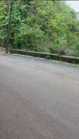  1500 Sq. Meter Residential Plot for Sale in Moira, North Goa