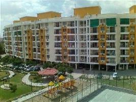 3 BHK Flat for Rent in Pipliyahana, Indore