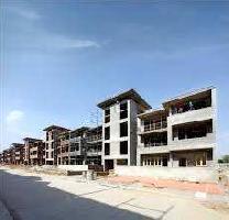 3 BHK Flat for Sale in Mullanpur, Chandigarh