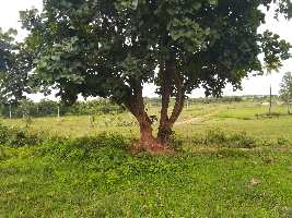  Agricultural Land for Sale in Belur Industrial Area, Dharwad