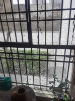 2 BHK Flat for Sale in Sector 16B Greater Noida West