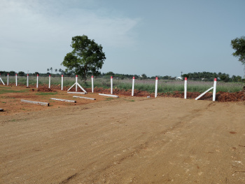  Commercial Land for Sale in Palladam, Tirupur