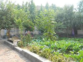  Residential Plot for Sale in Sigra, Varanasi