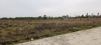  Residential Plot for Sale in Biharigarh, Dehradun