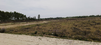  Residential Plot for Sale in Biharigarh, Dehradun