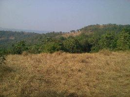  Agricultural Land for Sale in Sangameshwar, Ratnagiri