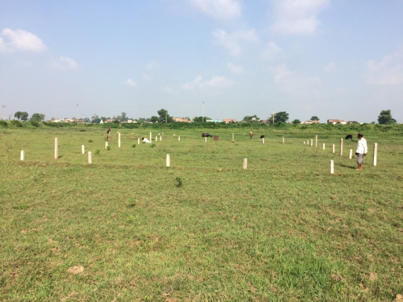 4083 Sq.ft. Agricultural/Farm Land for Sale in Phulwari Sharif, Patna