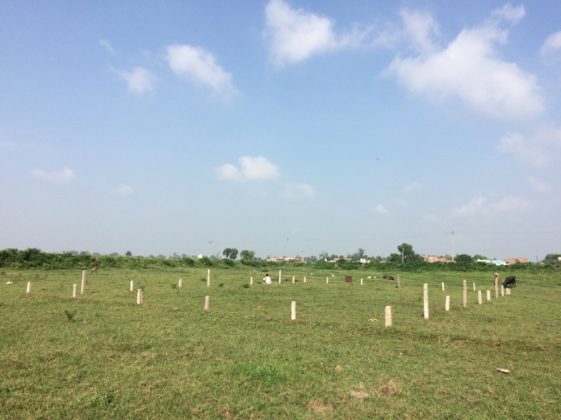 4083 Sq.ft. Agricultural/Farm Land for Sale in Phulwari Sharif, Patna