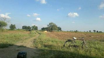 Agricultural Land for Sale in Kolaras, Shivpuri