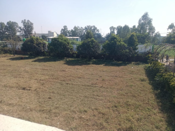  Industrial Land for Sale in Selaqui, Dehradun