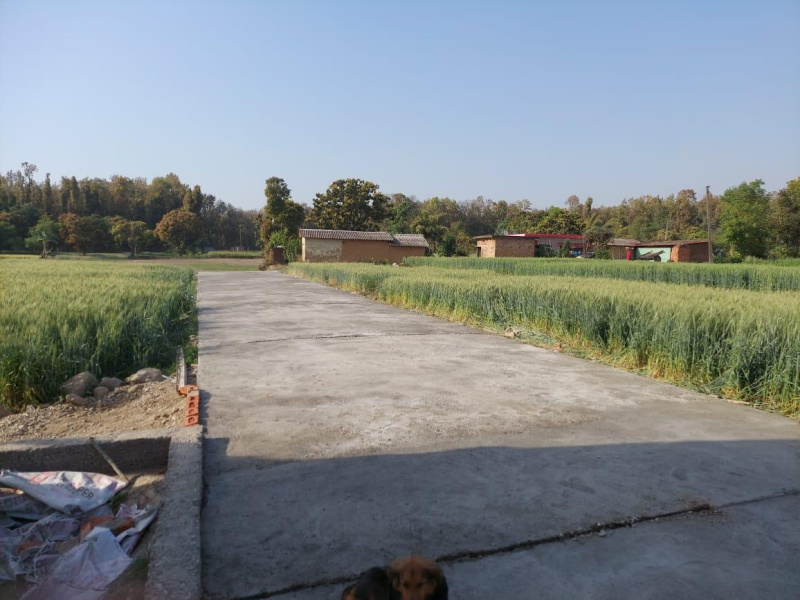  Residential Plot 1013 Sq.ft. for Sale in Sahaspur, Dehradun