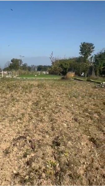  Residential Plot 1 Bigha for Sale in Shimla Bypass, Dehradun