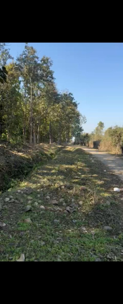  Residential Plot 1 Bigha for Sale in Shimla Bypass, Dehradun