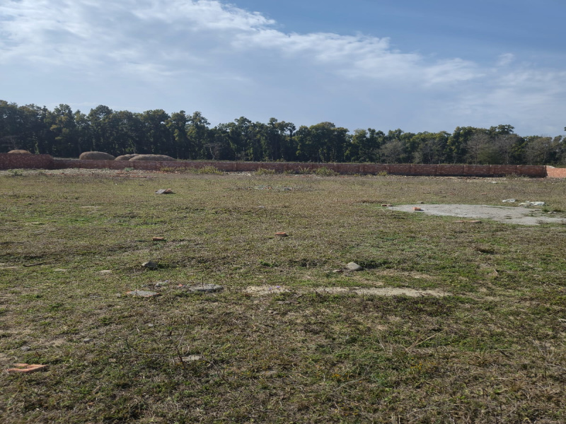  Residential Plot 250 Sq. Yards for Sale in Shimla Bypass Road, Dehradun