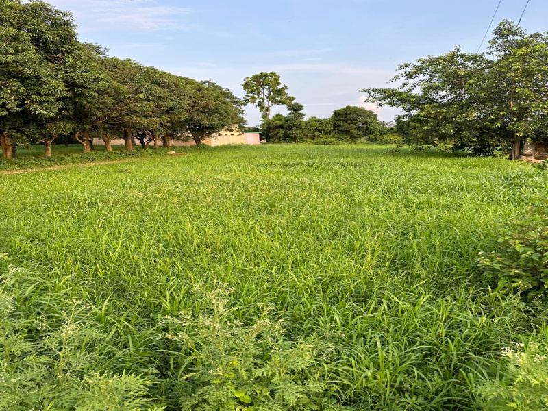 Residential Plot 135 Sq.ft. for Sale in Sahaspur, Dehradun