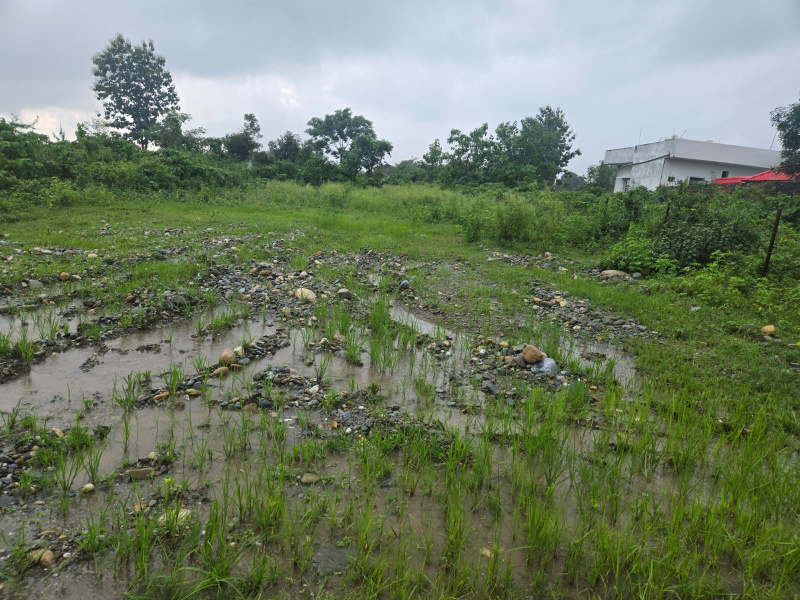  Residential Plot 467 Sq. Yards for Sale in Dhaulas, Dehradun