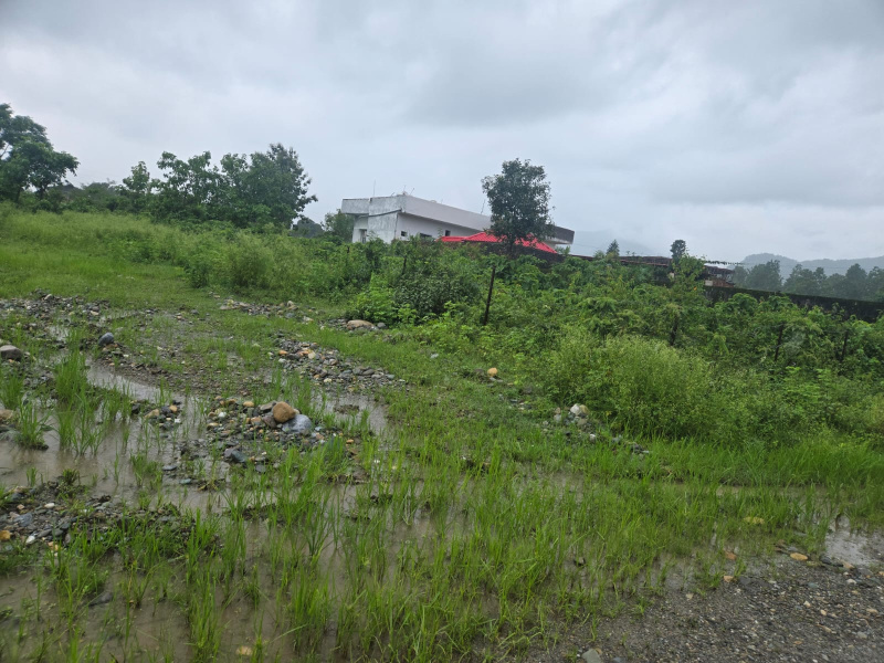  Residential Plot 311 Sq. Yards for Sale in Dhaulas, Dehradun