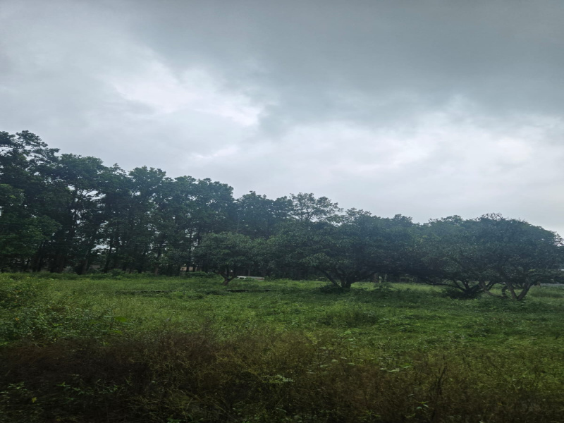  Residential Plot 265 Sq. Yards for Sale in Dhaulas, Dehradun