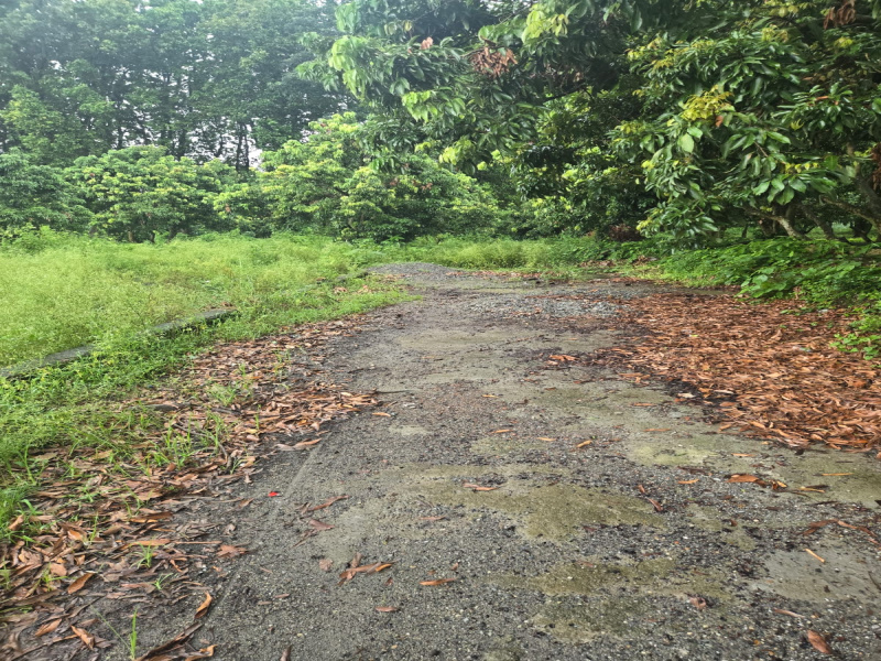  Residential Plot 265 Sq. Yards for Sale in Dhaulas, Dehradun