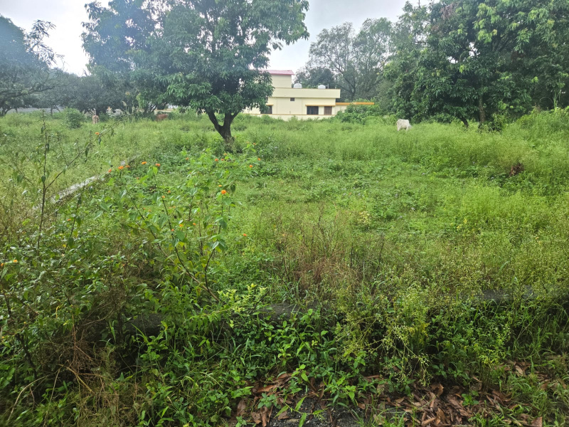  Residential Plot 265 Sq. Yards for Sale in Dhaulas, Dehradun