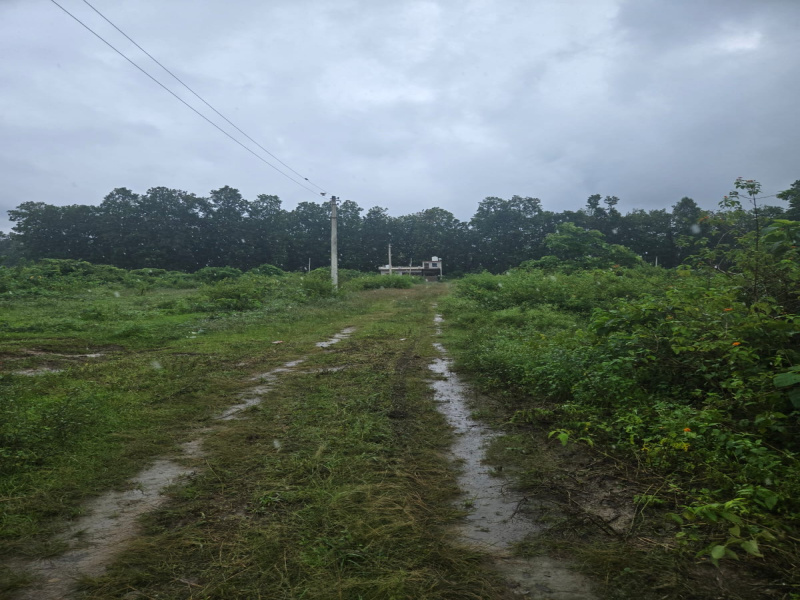  Residential Plot 152 Sq. Yards for Sale in Dhaulas, Dehradun