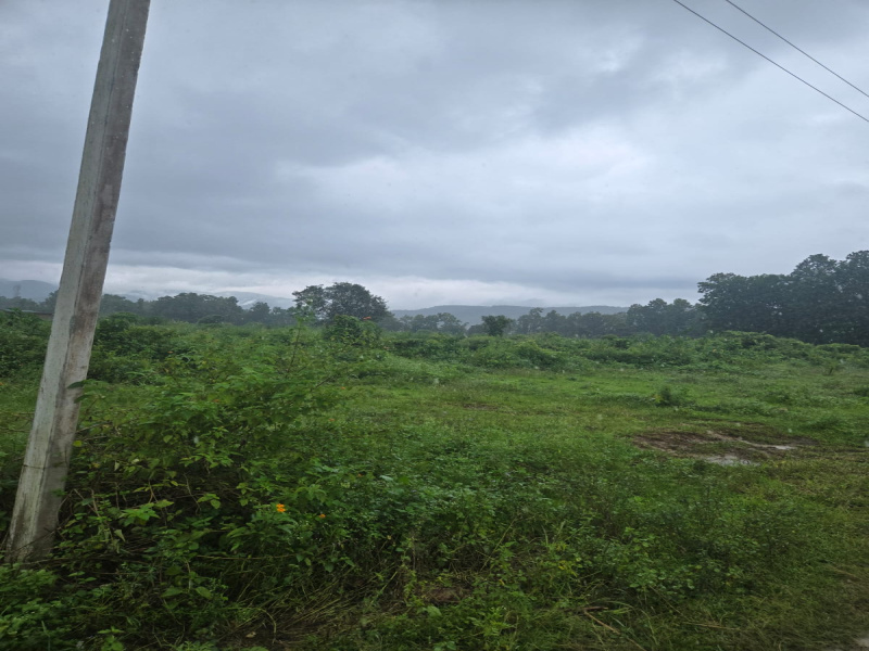  Residential Plot 152 Sq. Yards for Sale in Dhaulas, Dehradun