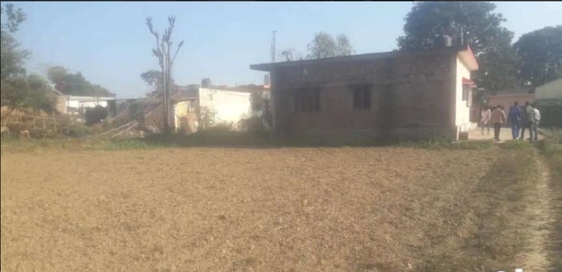  450 Sq. Yards Residential Plot for Sale in Dharmawala, Vikas Nagar, Dehradun