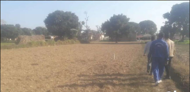  450 Sq. Yards Residential Plot for Sale in Dharmawala, Vikas Nagar, Dehradun