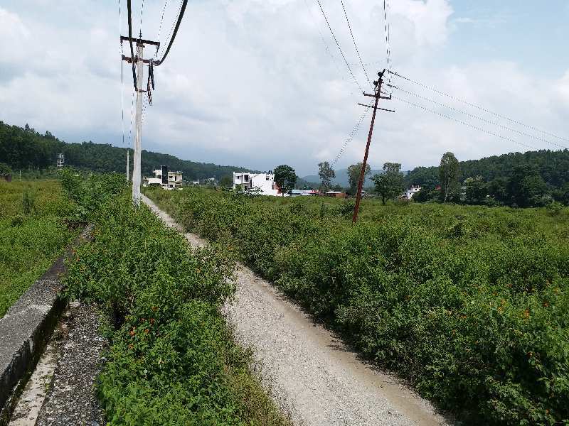 Residential Plot 900 Sq.ft. for Sale in Kaulagarh, Dehradun (REI852445)