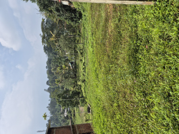  Residential Plot for Sale in Kalpetta, Wayanad