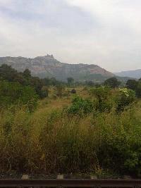  Agricultural Land for Sale in Sector 36 Kamothe, Navi Mumbai
