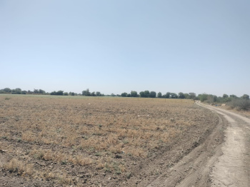  Industrial Land for Sale in Mandal, Ahmedabad