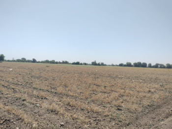  Industrial Land for Sale in Becharaji, Mahesana