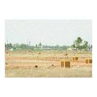 2 BHK Residential Plot 72 Sq. Yards for Sale in