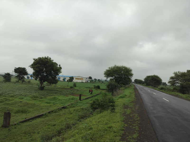  Agricultural Land 10 Bigha for Sale in Dewas Bypass Road