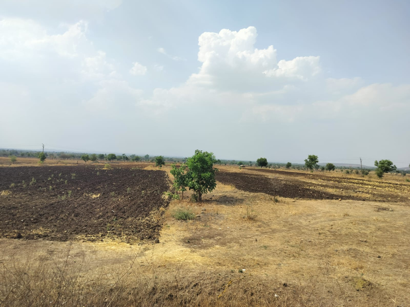  Agricultural Land 10 Bigha for Sale in Dewas Bypass Road