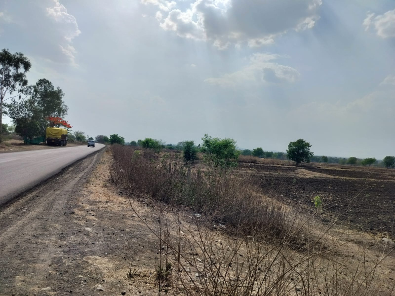  Agricultural Land 10 Bigha for Sale in Dewas Bypass Road