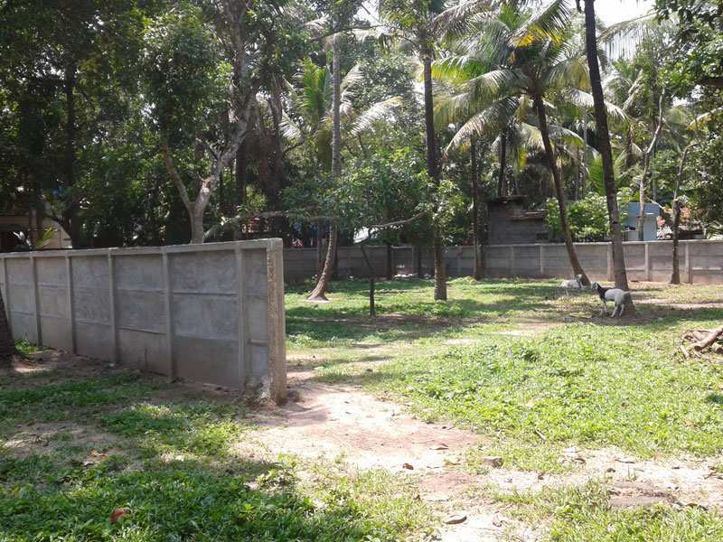 House 15 Cent for Sale in Chandanathope, Kollam