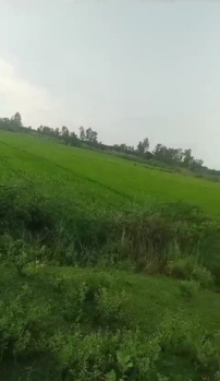  Agricultural Land for Sale in Sultanpur Road, Lucknow