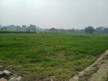  Agricultural Land for Sale in Ayodhya Bypass, Faizabad