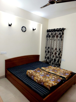 3.5 BHK Flat for Rent in Sector 88 Faridabad