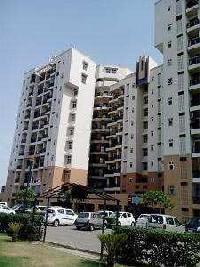2 BHK Builder Floor for Sale in Sector 15 Bahadurgarh