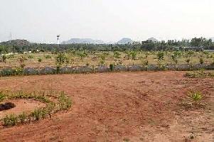  Residential Plot for Sale in Tagarapuvalasa, Visakhapatnam