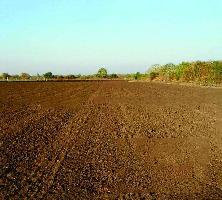 Agricultural Land for Sale in Talala, Gir Somnath