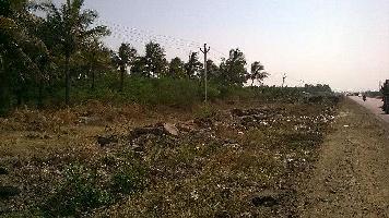  Agricultural Land for Sale in Veraval, Gir Somnath