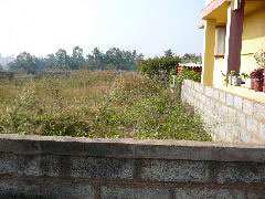  1200 Sq.ft. Residential Plot for Sale in Electronic City, Bangalore