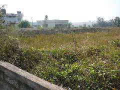  1200 Sq.ft. Residential Plot for Sale in Electronic City, Bangalore