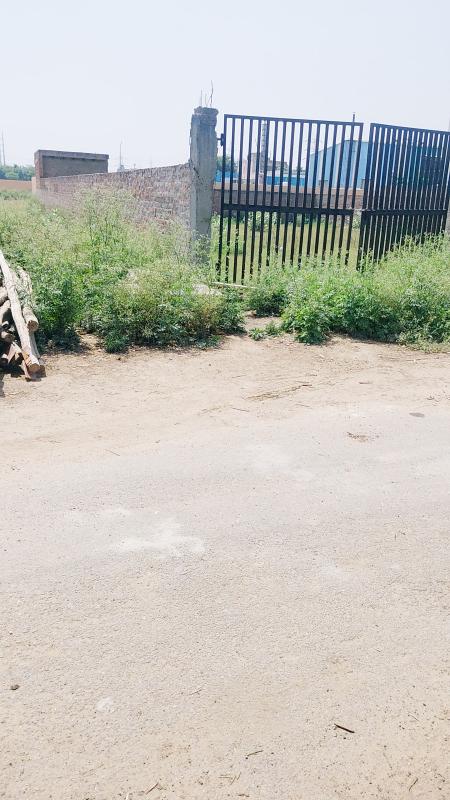  770 Sq. Meter Commercial Land for Sale in Ecotech I Extension, Greater Noida