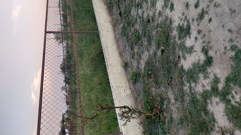 1 BHK 2000 Sq. Yards Farm House for Sale in Sector 150 Noida