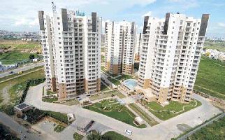 2 BHK Flat for Sale in Sector Phi Greater Noida